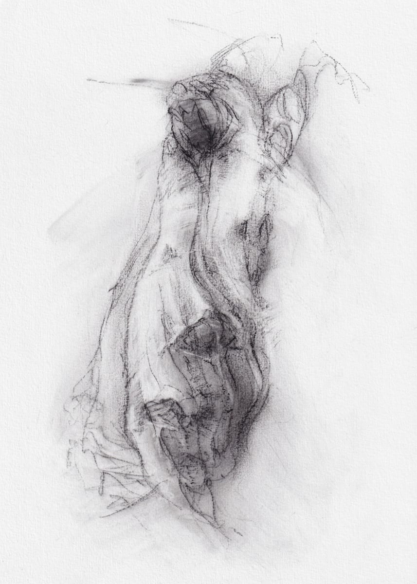 Transformation study 13 by Tansy Lee Moir, Image 1.
