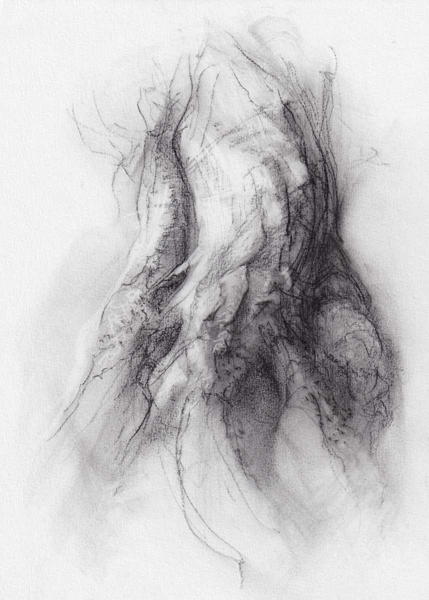 Transformation study 18 by Tansy Lee Moir, Image 15.
