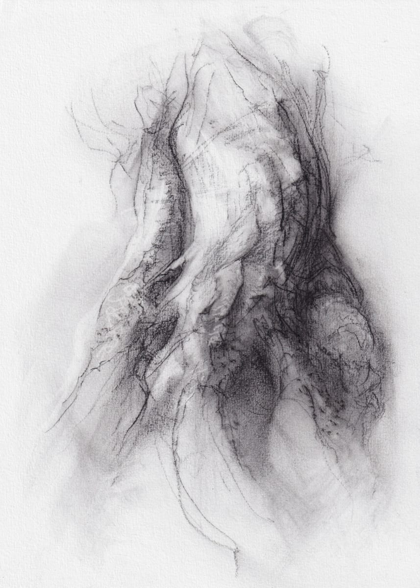 Transformation study 18 by Tansy Lee Moir, Image 15.