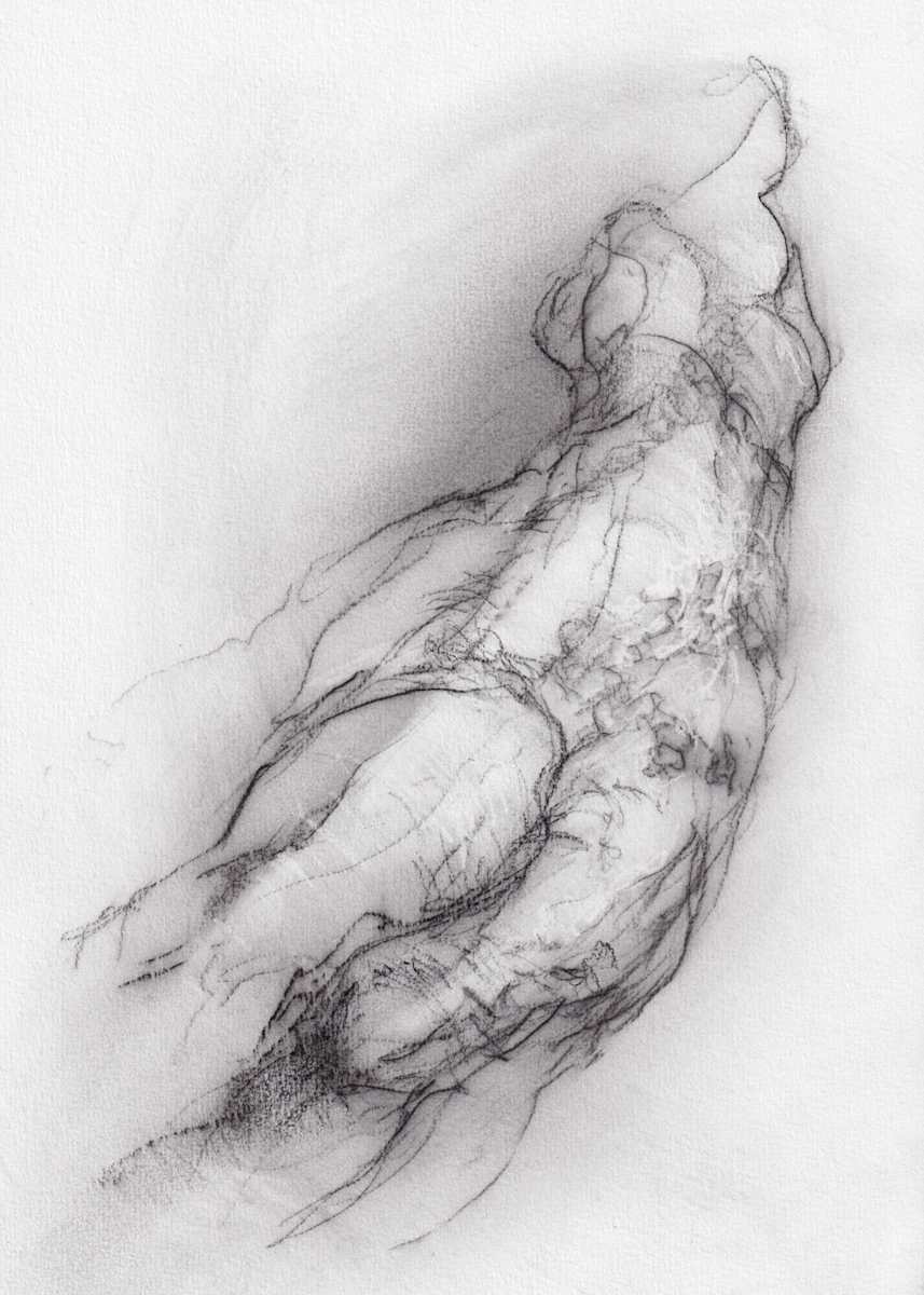 Transformation study 1 by Tansy Lee Moir, Image 4.