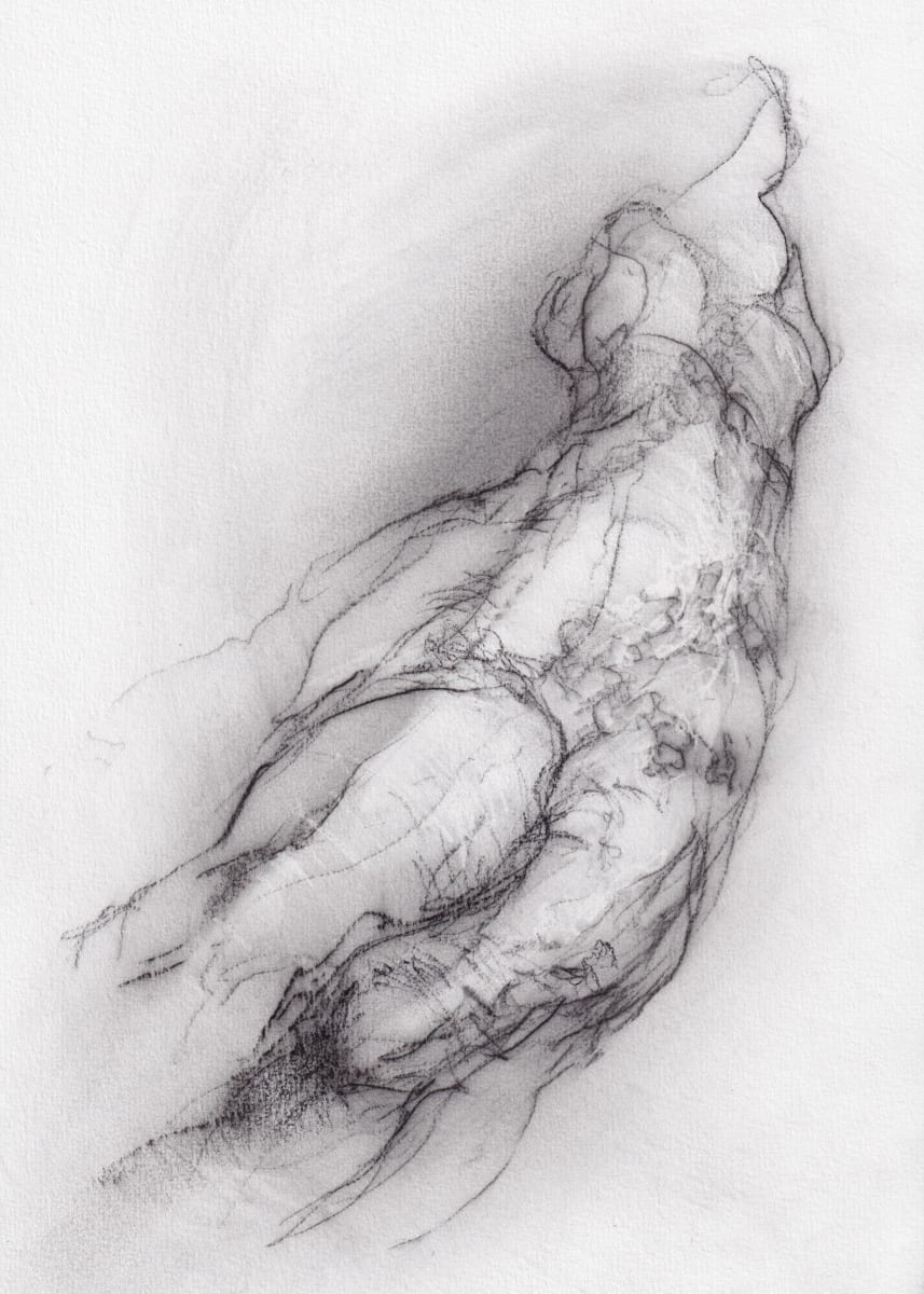Transformation study 1 by Tansy Lee Moir, Image 4.