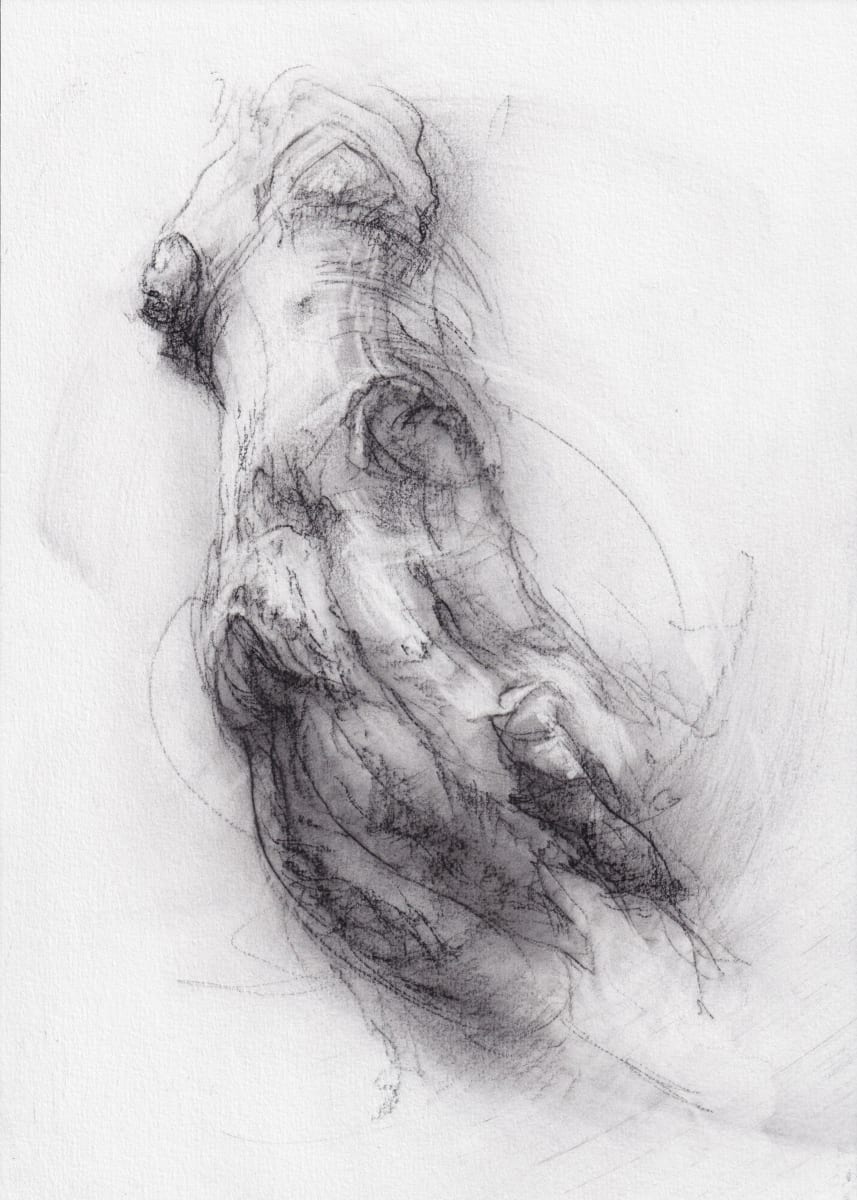 Transformation study 2 by Tansy Lee Moir, Image 1.