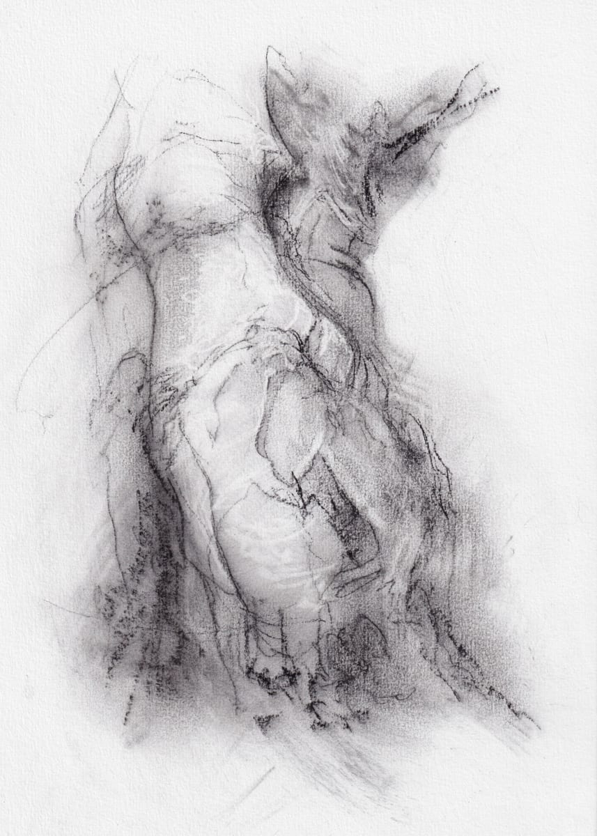 Transformation study 7 by Tansy Lee Moir 