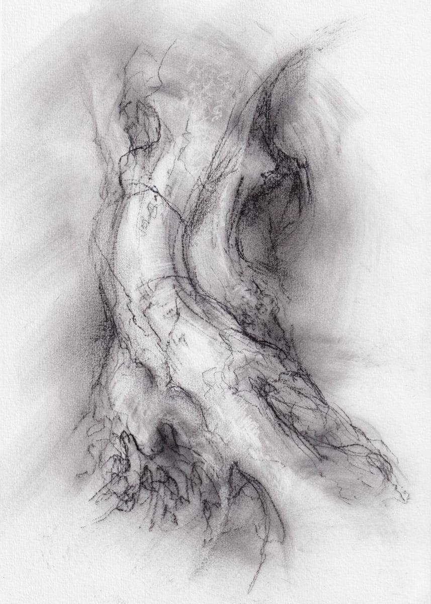 Transformation study 9 by Tansy Lee Moir 