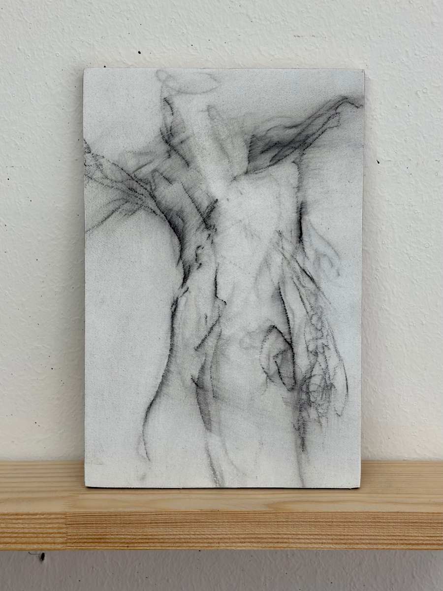 Trunk III by Tansy Lee Moir, Image 1.