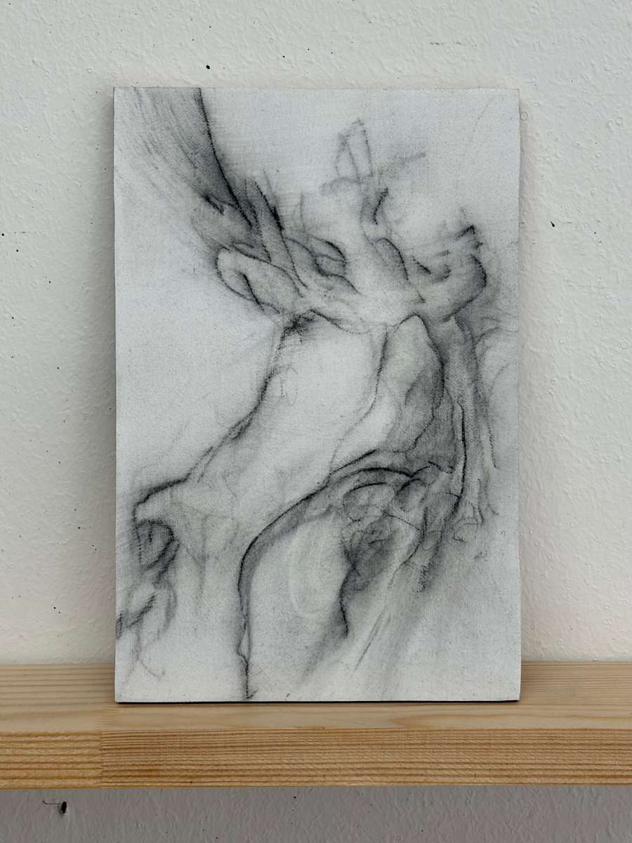 Trunk IV by Tansy Lee Moir, Image 1.