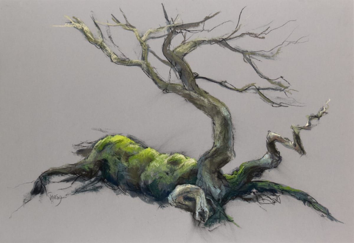 Walking oak by Tansy Lee Moir 