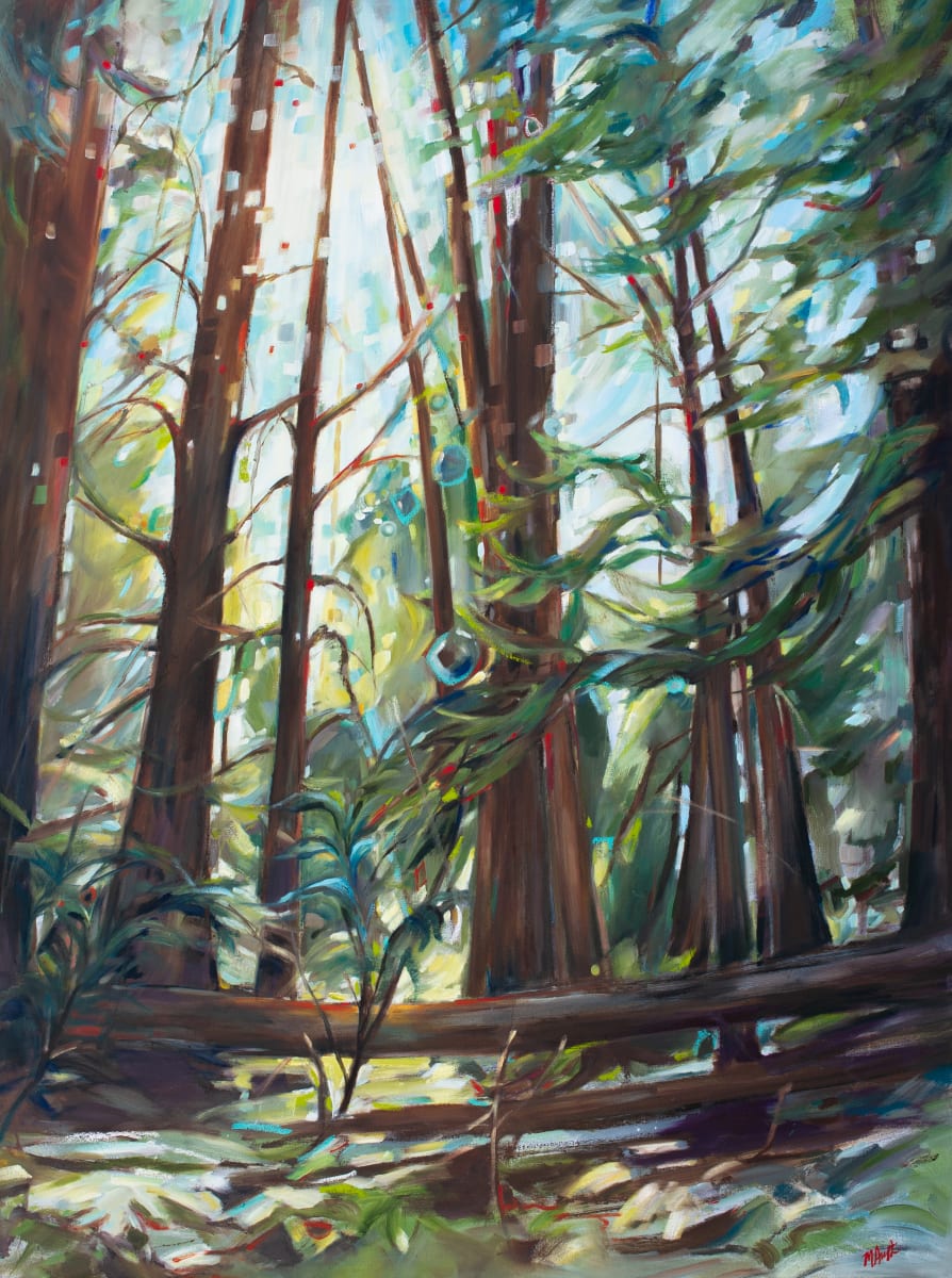 Cathedral Forest 