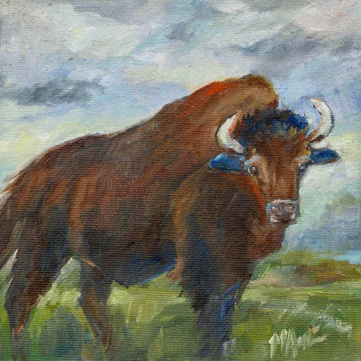 Handsome by Michelle Austen 