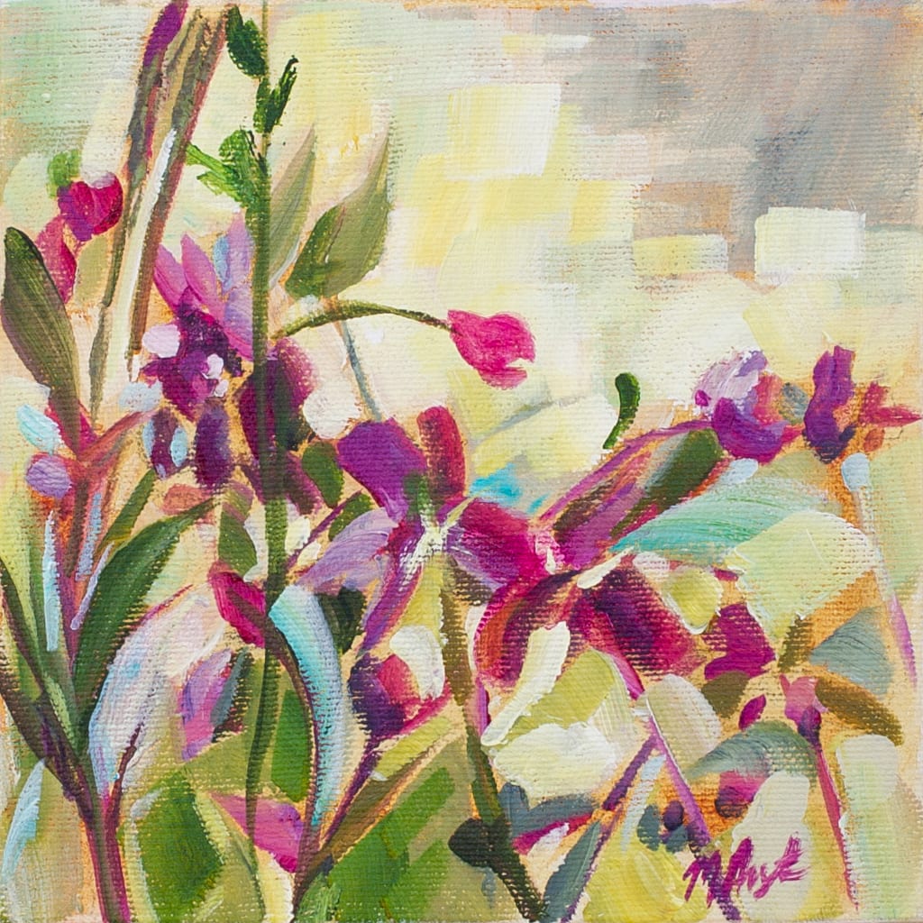Morning light 