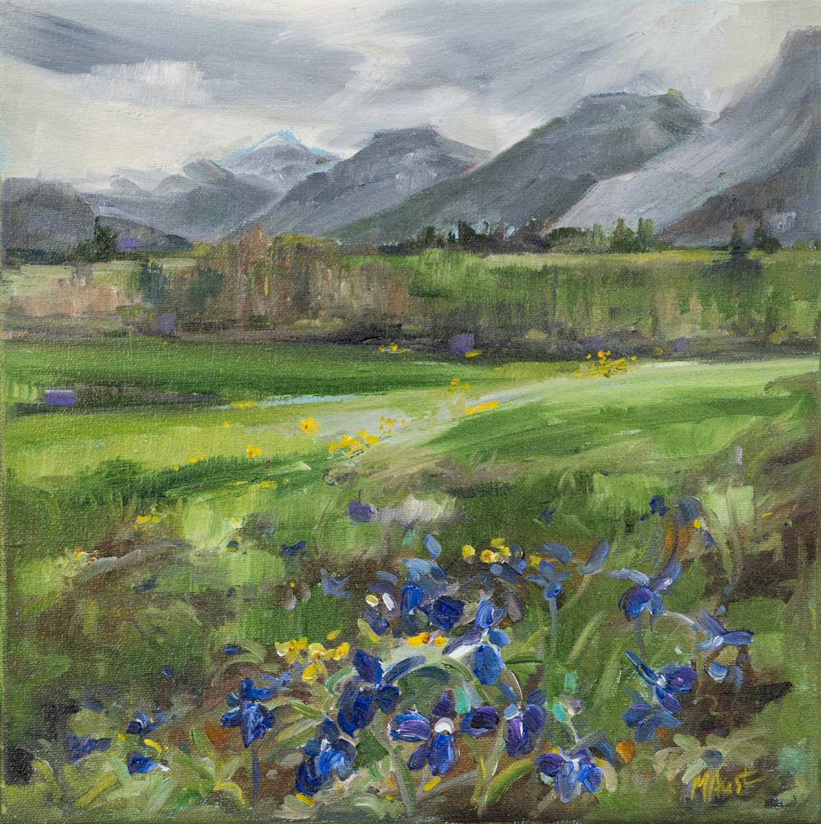 After the fire -Waterton National Park by Michelle Austen, Image 1.