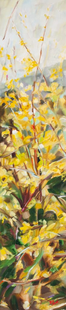 Forsythia by Michelle Austen 
