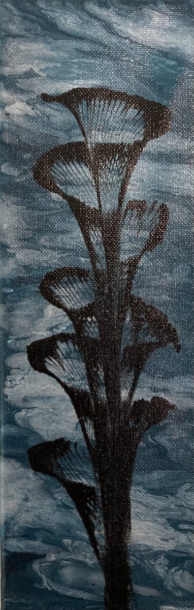 Black Flower on Blue 