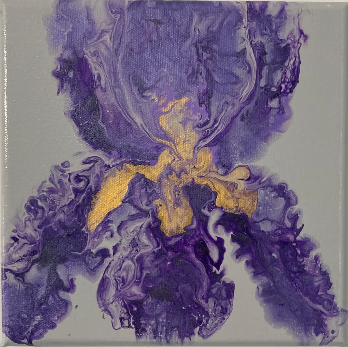 Iris I by Helen Renfrew 