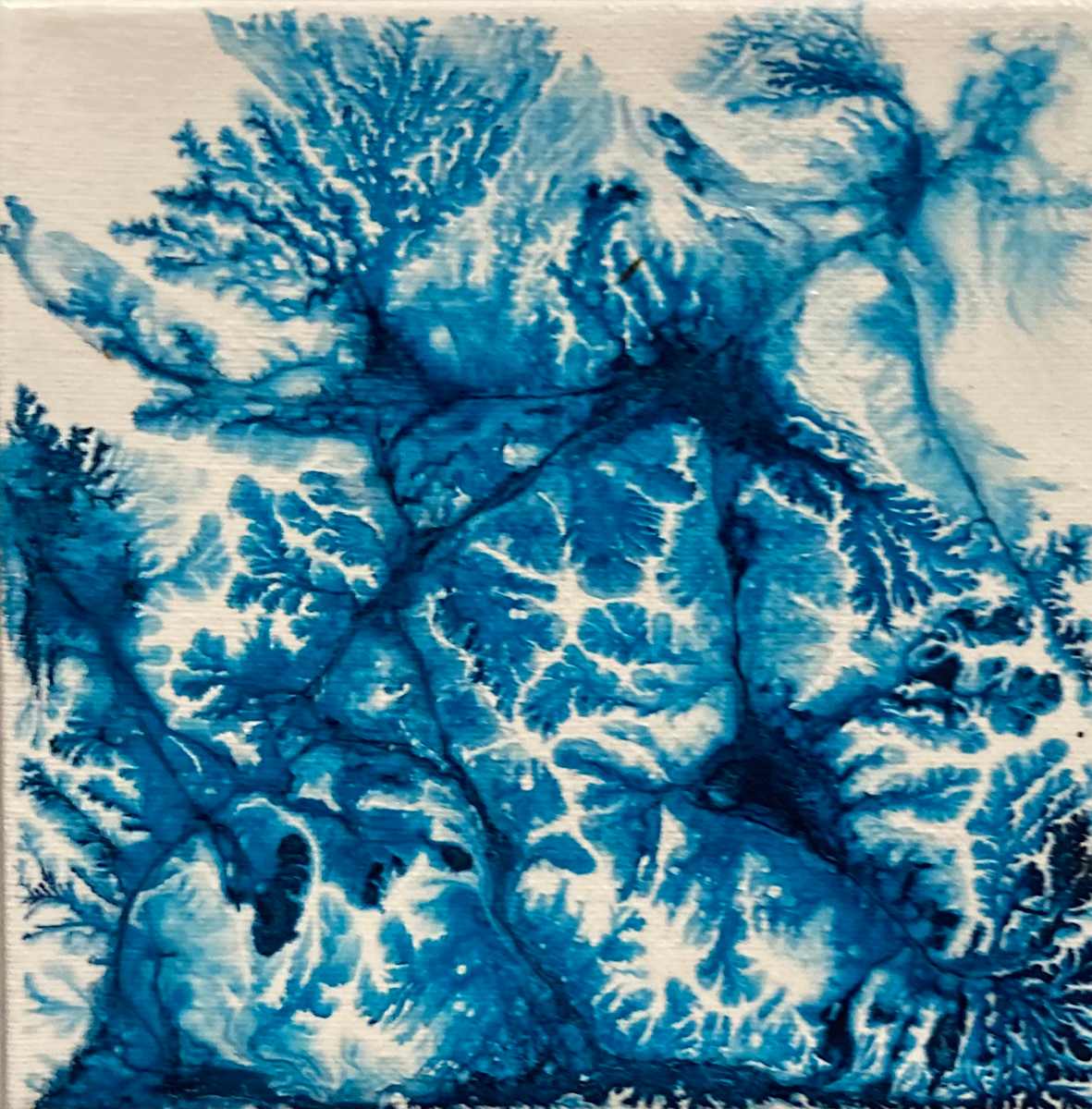 Synaptic Blur, Image 1.