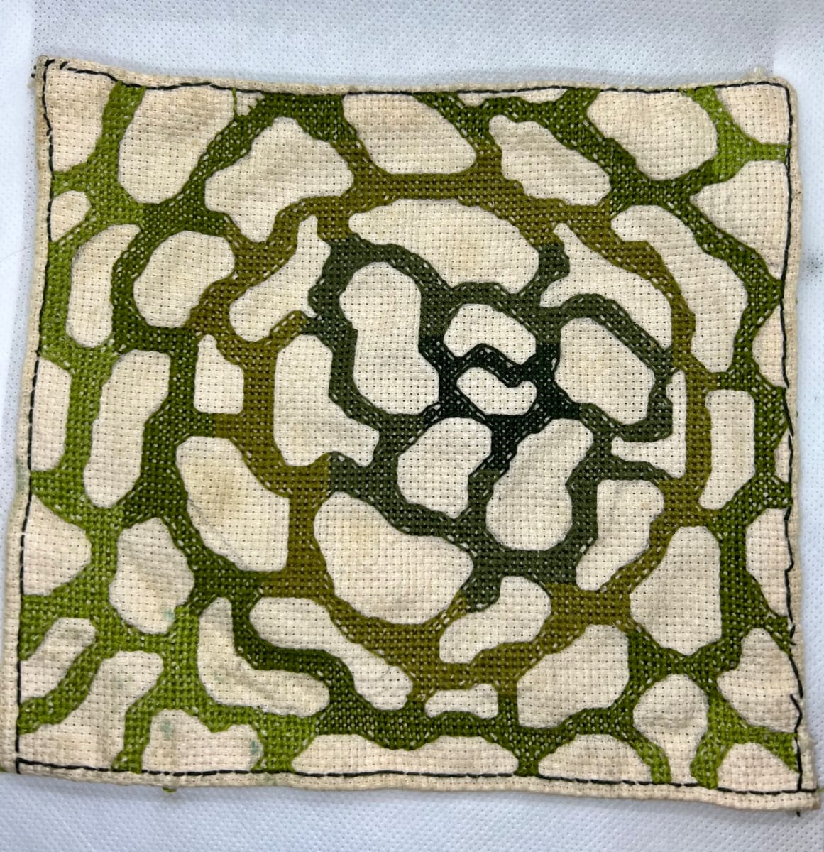 Green lines by Carley 