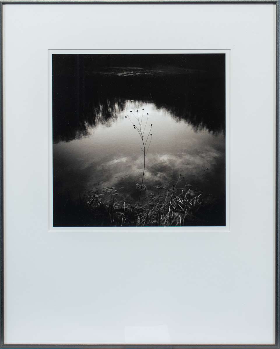 Osgood Pond, Adirondack Park, NY by Andrew Bale 