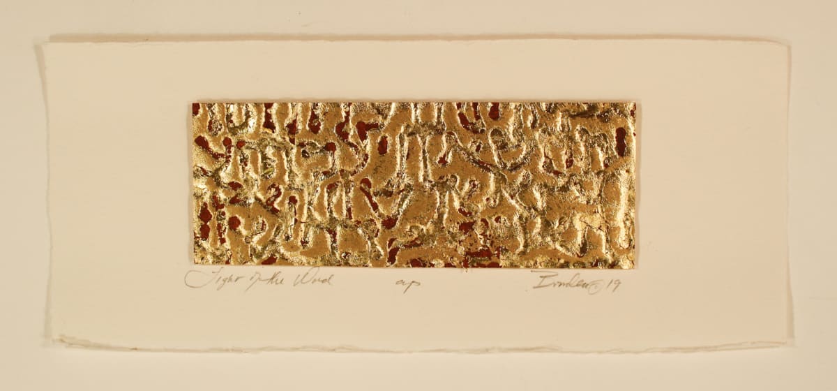 Light of the Word by Sandra  Bowden 