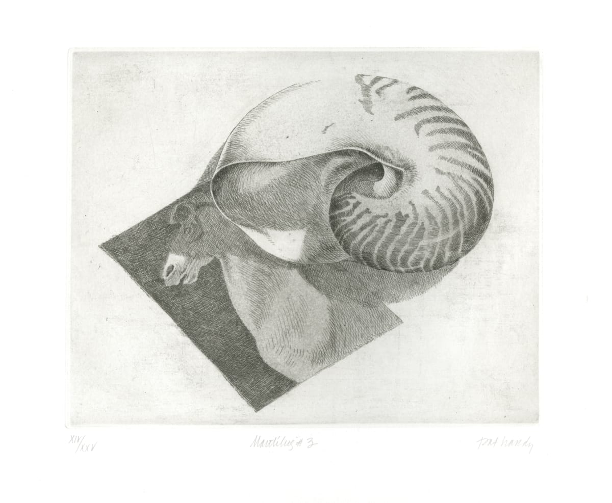 Nautilus #3 by Pat Hardy, Image 1.