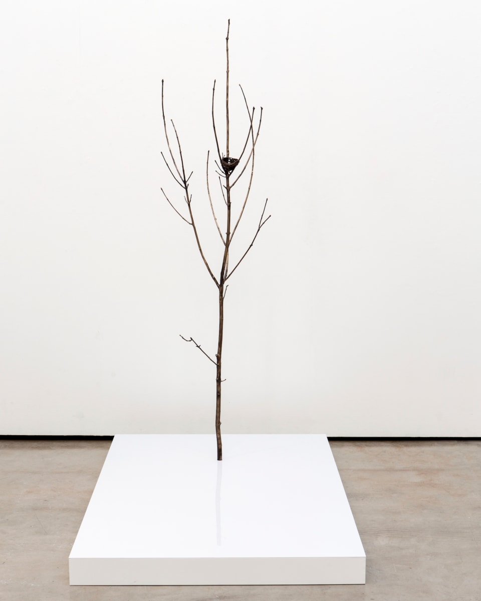 Only Tree (With Nest) by Emily Arthur 