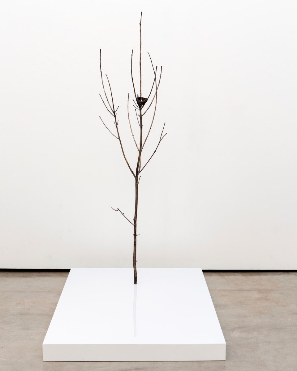 Only Tree (With Nest) by Emily Arthur, Image 1.