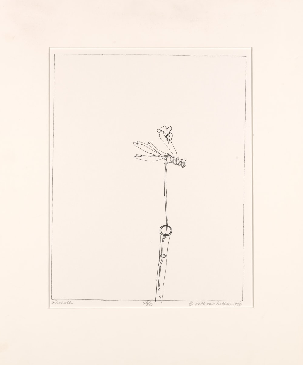 Freesia by Beth Van Hoesen 