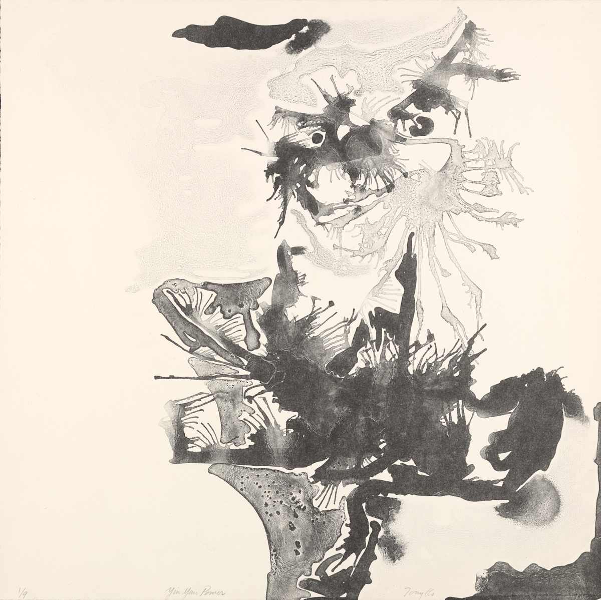 Ying Yan Power by Anthony Ko, Image 2.