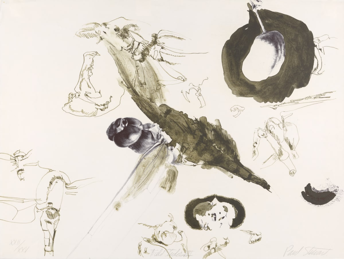 Field Studies VIII by Paul Stewart 