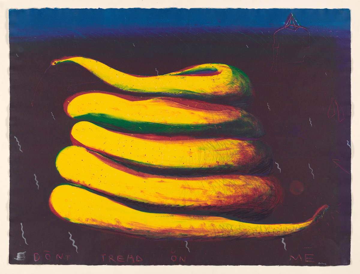 Don't Tread on Me by David R.L. Anderson, Image 2.