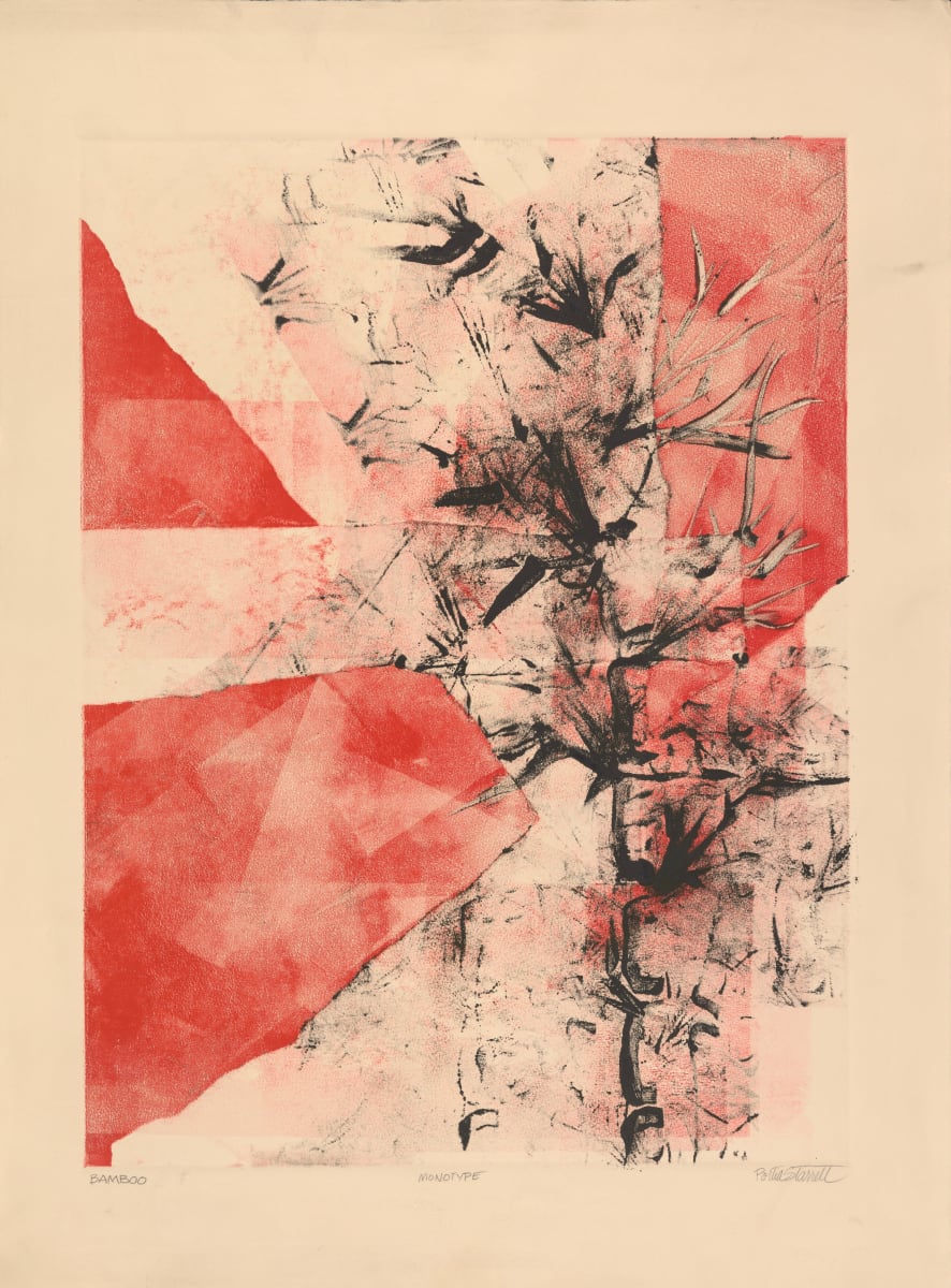 Bamboo by Portia Starrett 