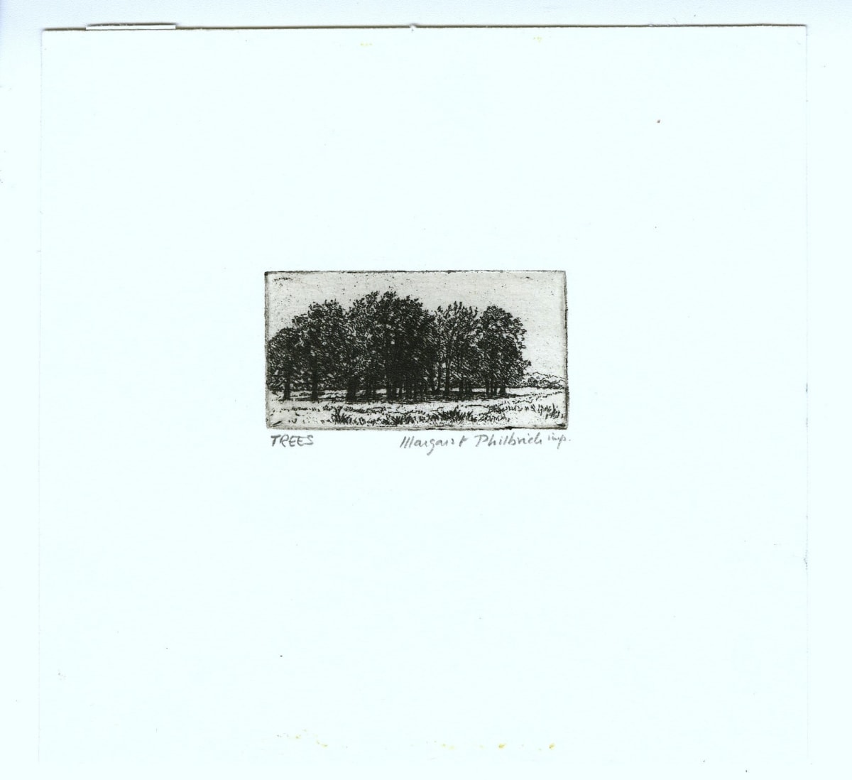 Trees by Margaret Philbrick 