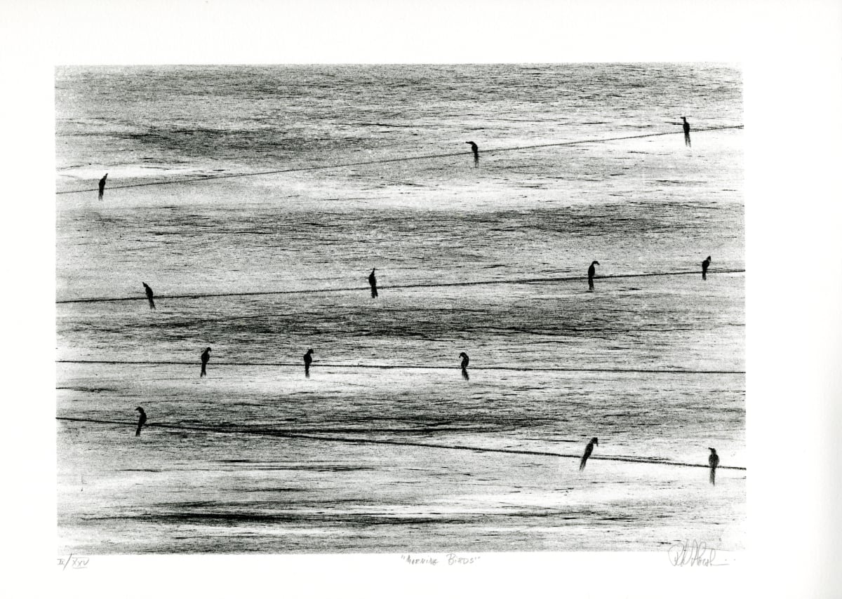 Morning Birds by Richard Florsheim 