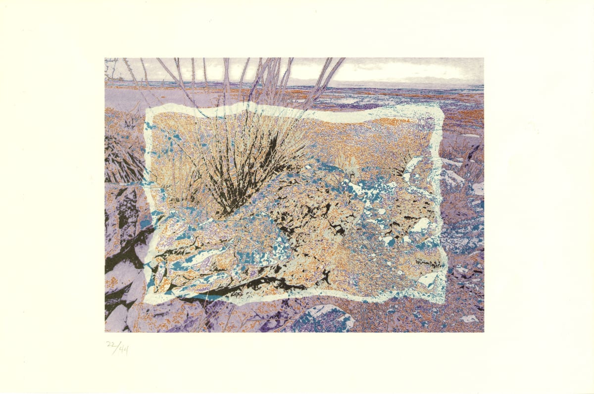 Near Almagordo by Todd Walker 