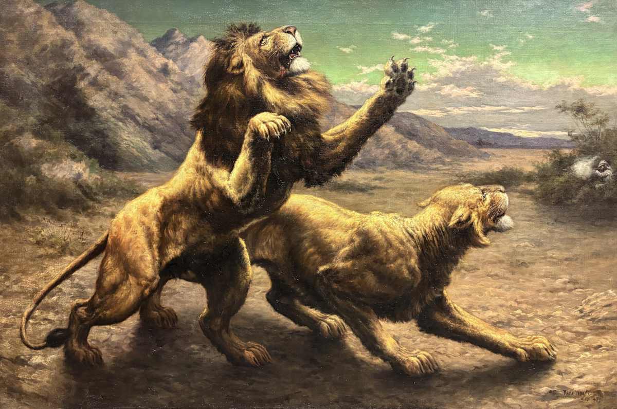Lions and Hunter by George Rene Whaite, Image 2.