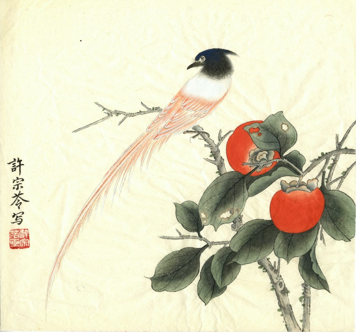 Untitled (Long Tailed Bird on Persimmon Branch) by Unknown 