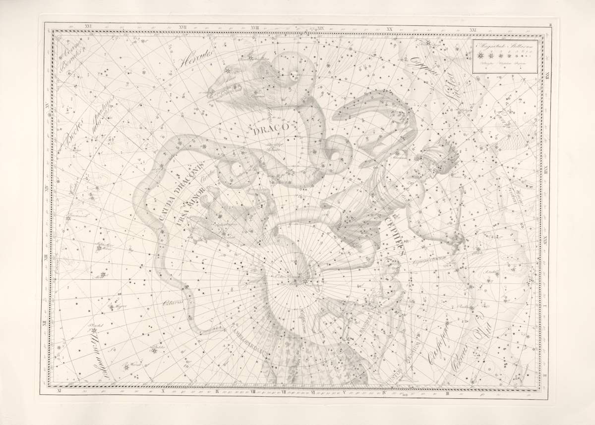 Draco from Uranographia 1801 by Johann Elert Bode, Image 3.