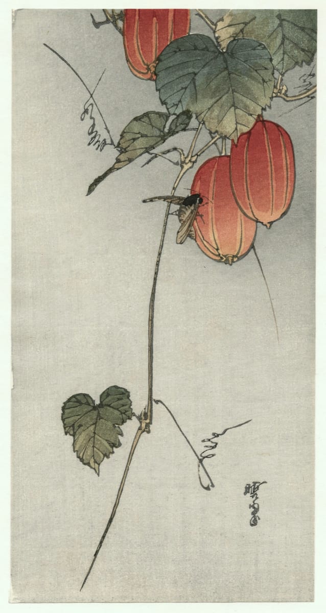 Bee and Red Fruit by Gyosui Kawanabe 