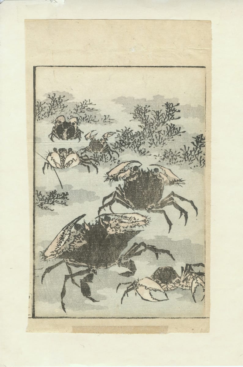 Detached Page: Picture Album Transmitting the Spirit by Katsushika Hokusai (葛飾北斎) 