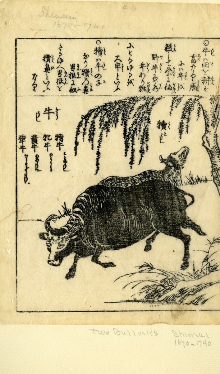 Two Bullocks by Shinsui 