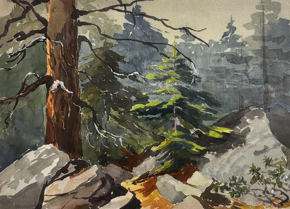 Untitled [Landscape] by Dolores Samuels Young 
