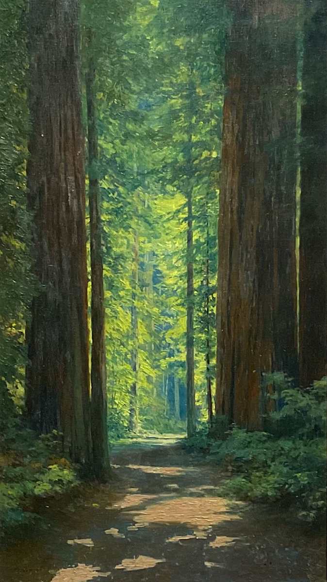 Bohemian Grove by Lorenzo Latimer 