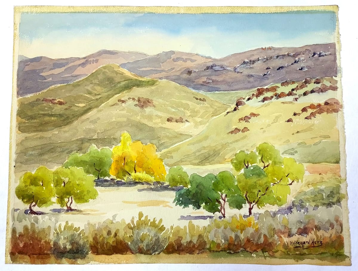 Outcropping on Eastern Mountains of Washoe Lake by Hildegard Herz 