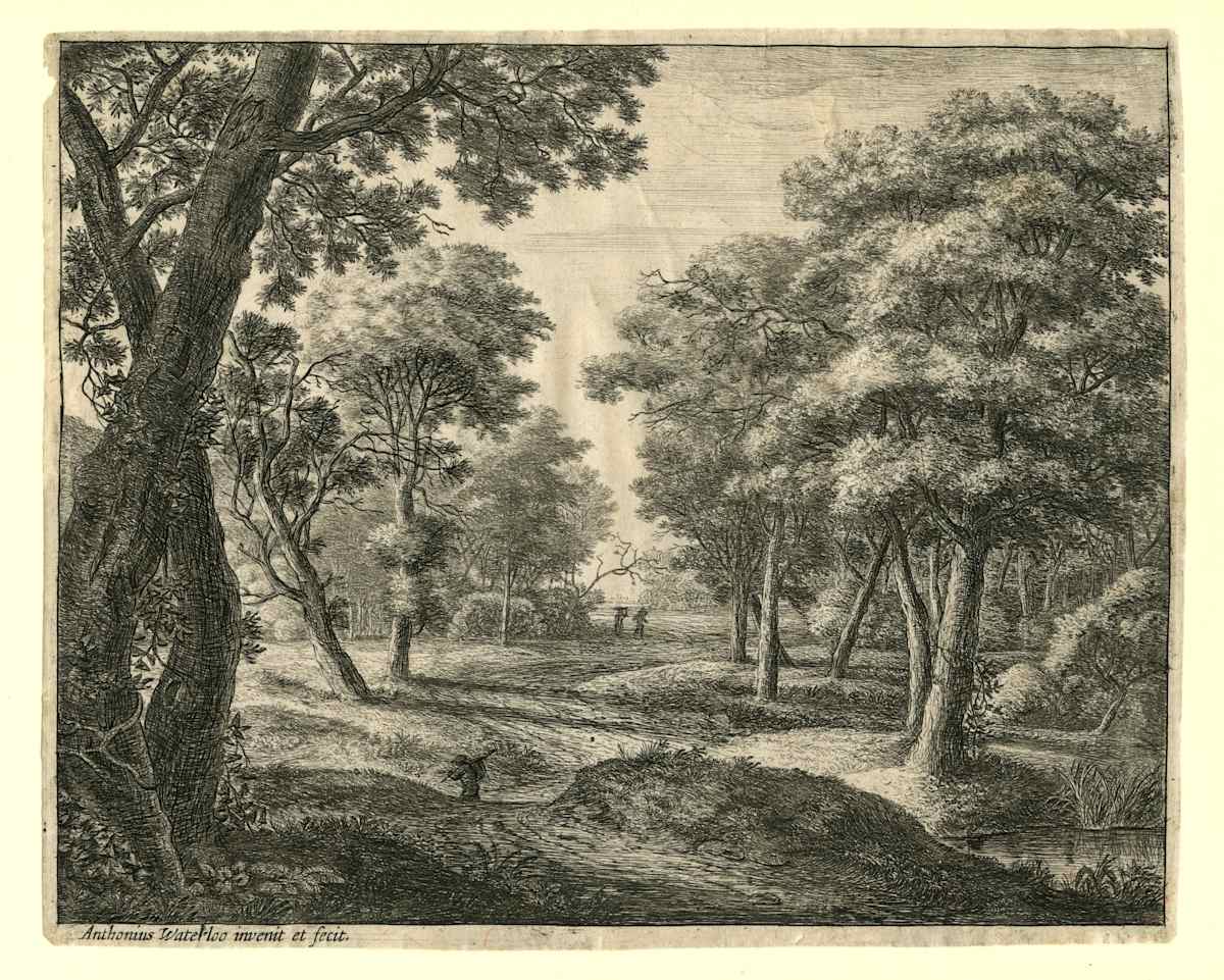 A Path Through the Woods by Anthonie Waterloo 