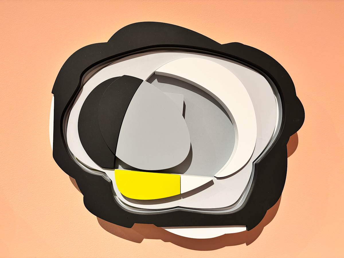 SSN# 174-63-1503 by David Ryan 