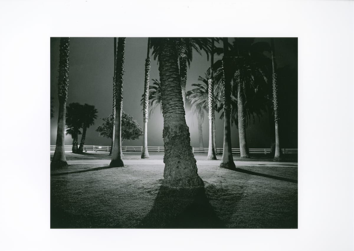 Palisades Park, Santa Monica 1975 by Robert von Sternberg 