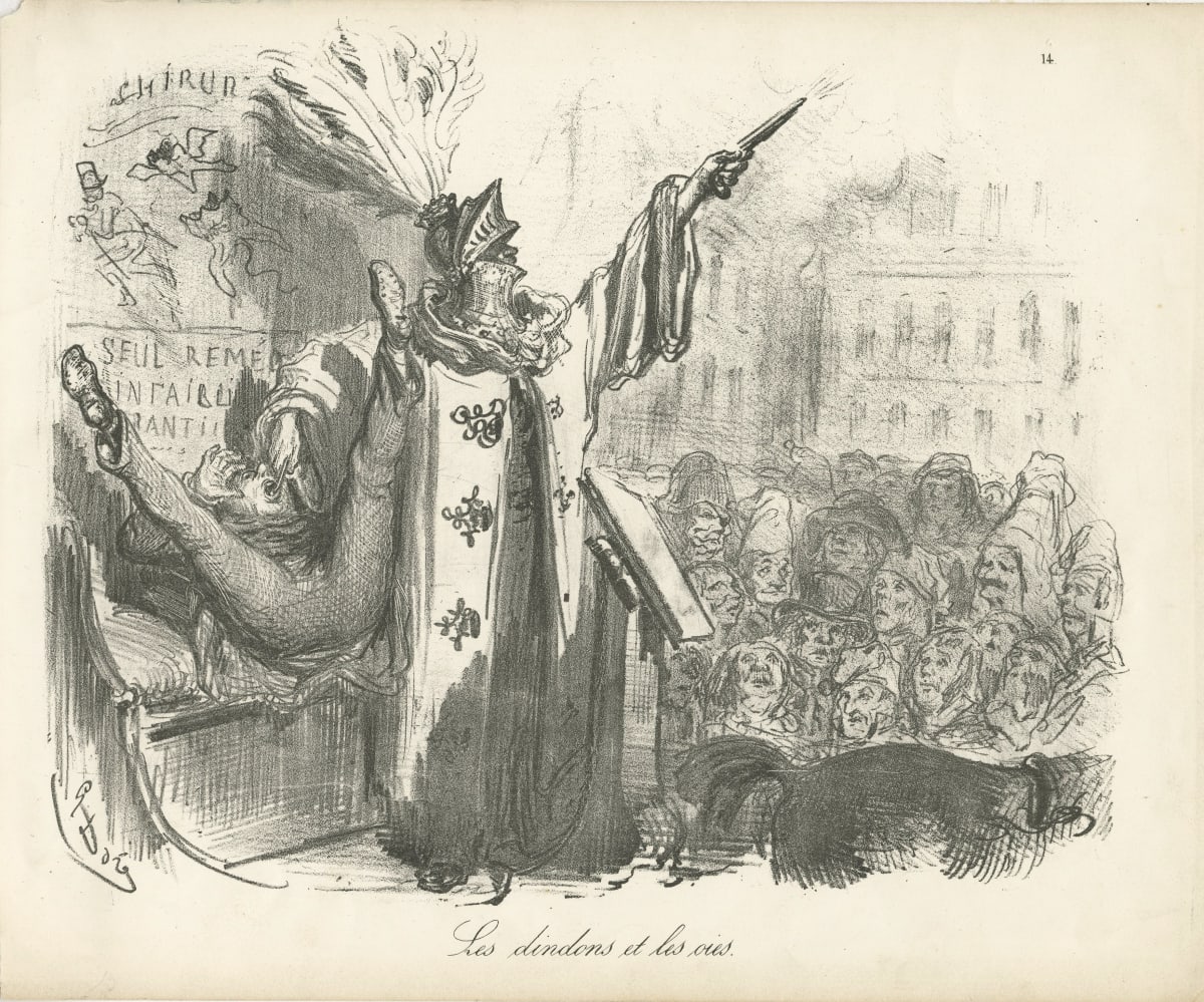 Les Dindons et les Oies by Gustave Doré 