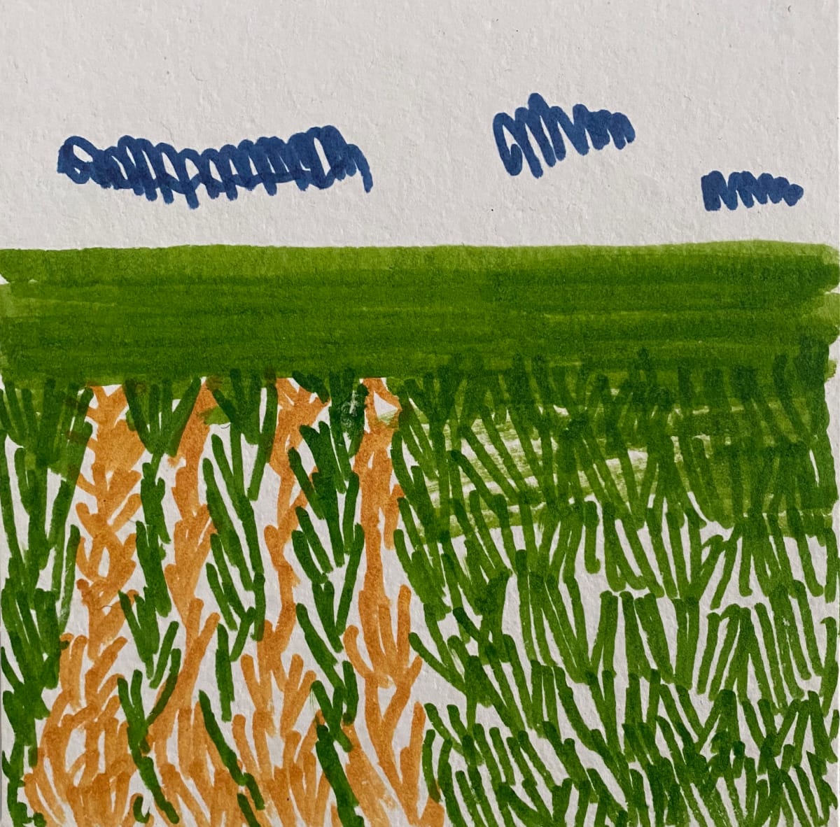 Study of Fields #6 
