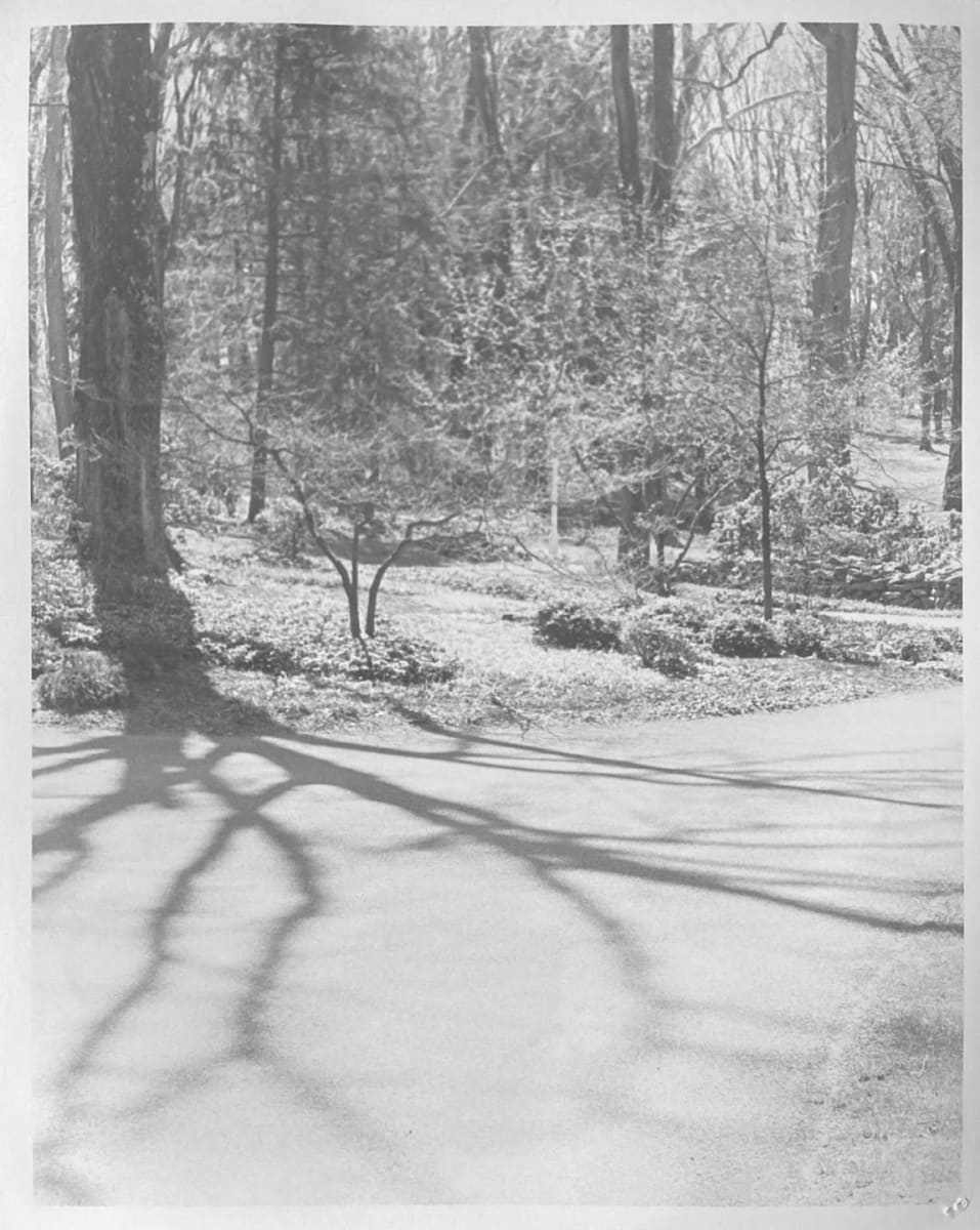 Home 3, Image 1.