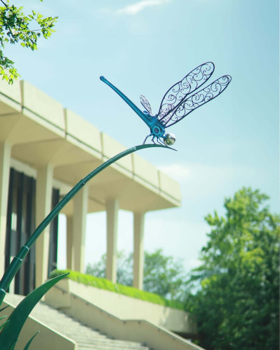 Dragon Fly by Bruce Larsen  Image: The Dragonfly sitting outside the Huntsville courthouse.
