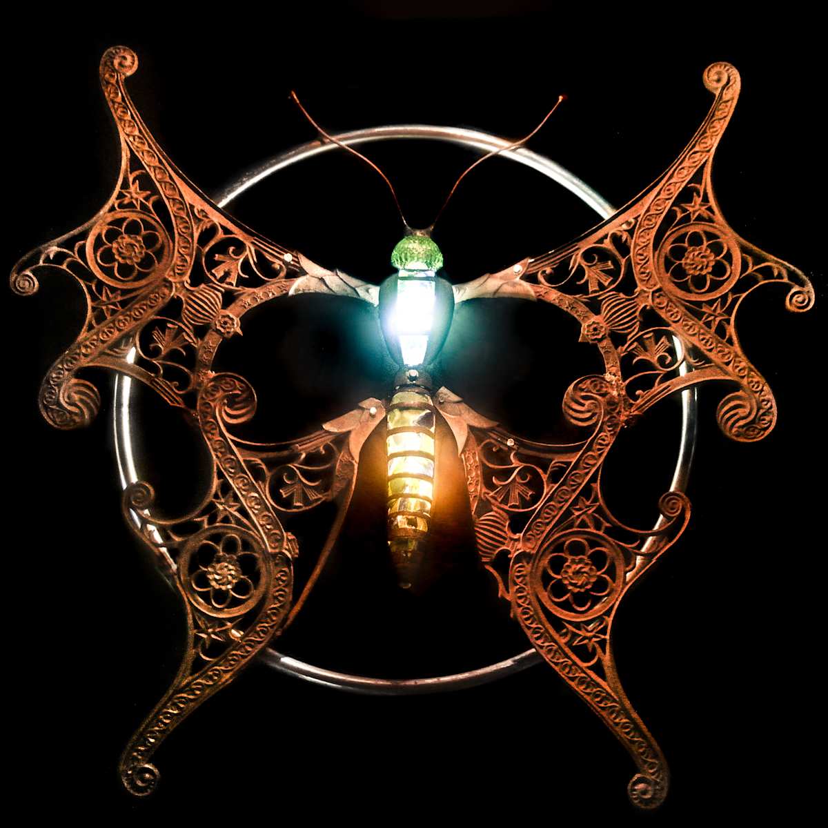 Firefly by Bruce Larsen, Image 1.